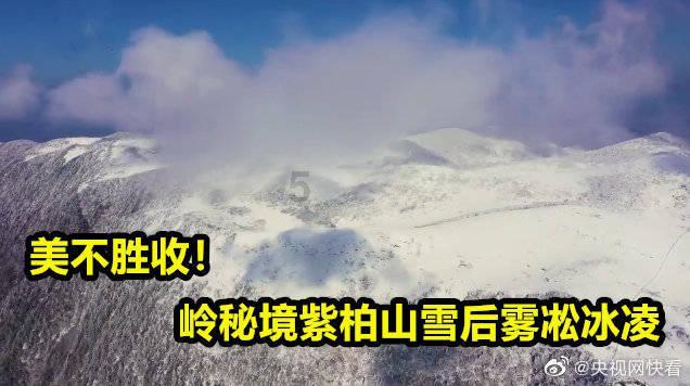 旋转轮胎